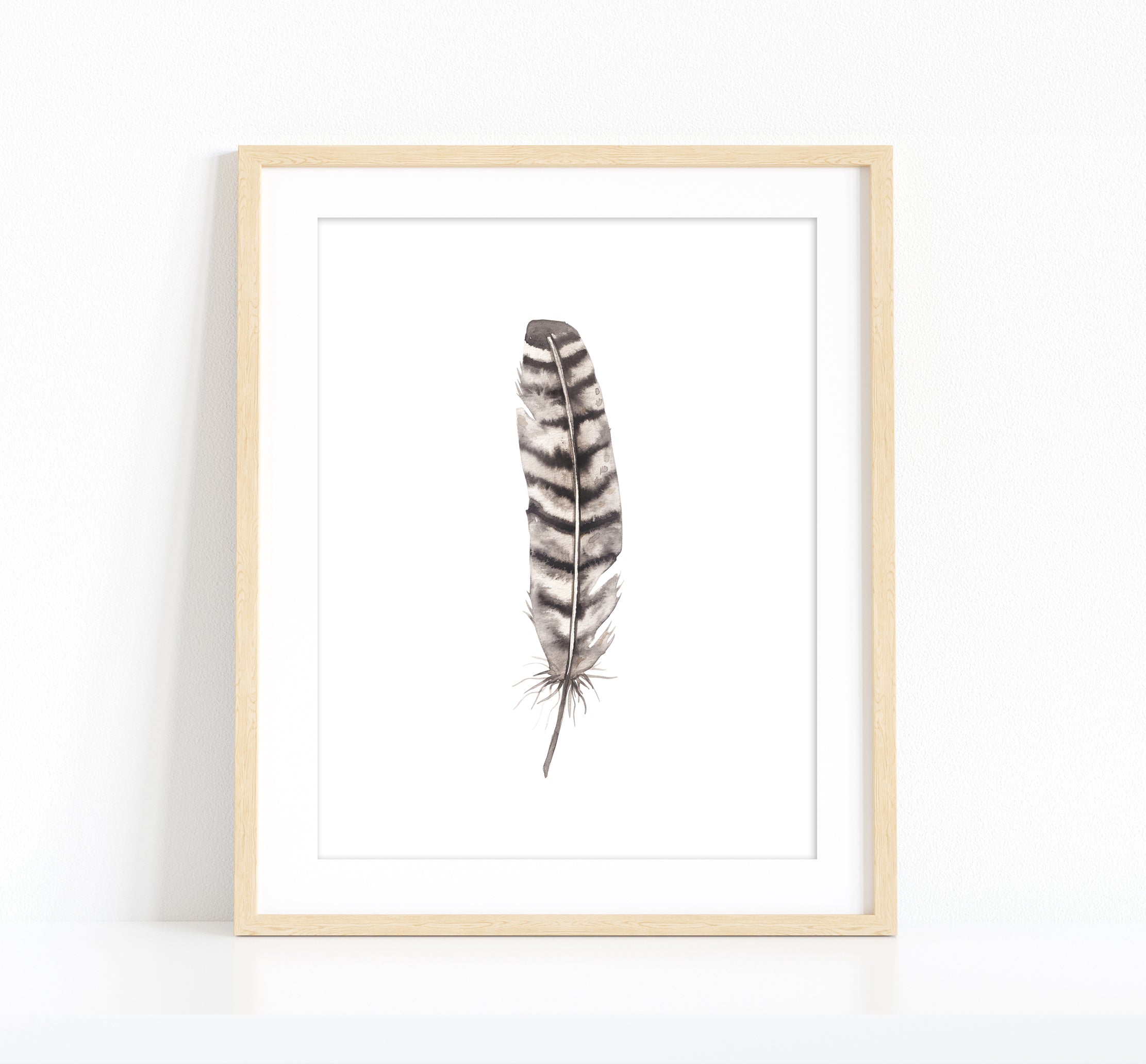Wild Turkey Feather