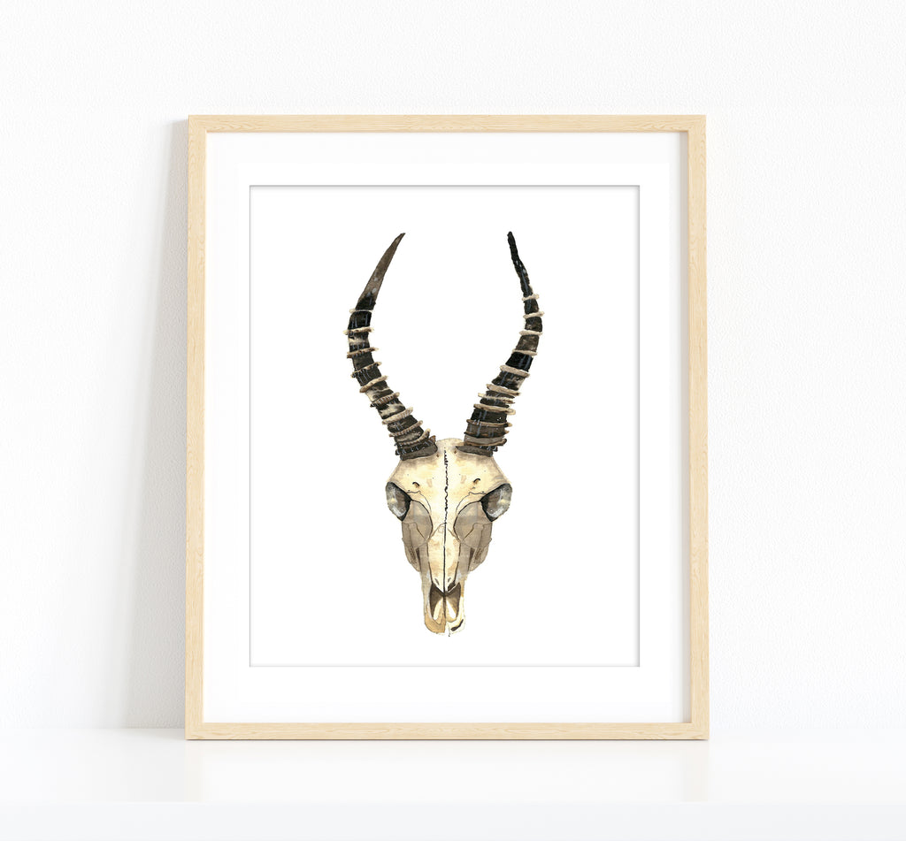 "Gazelle Skull"