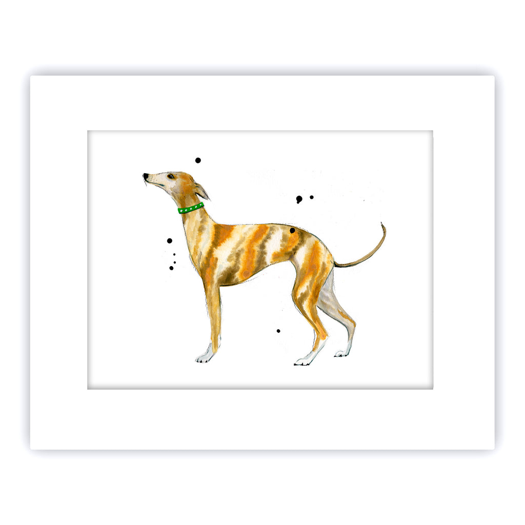 "Yellow Whippet"
